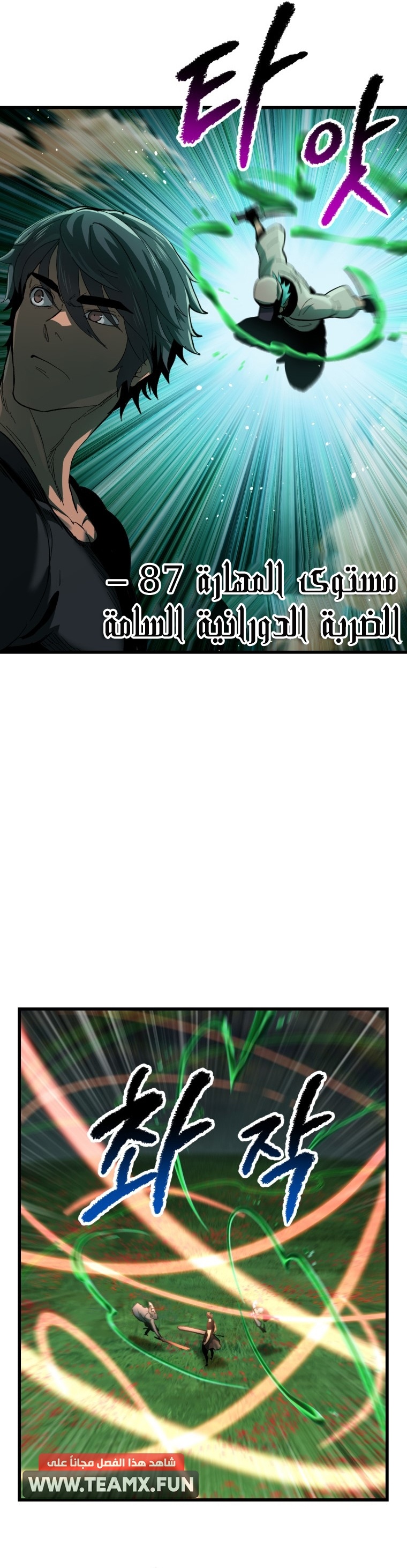 صفحة 13