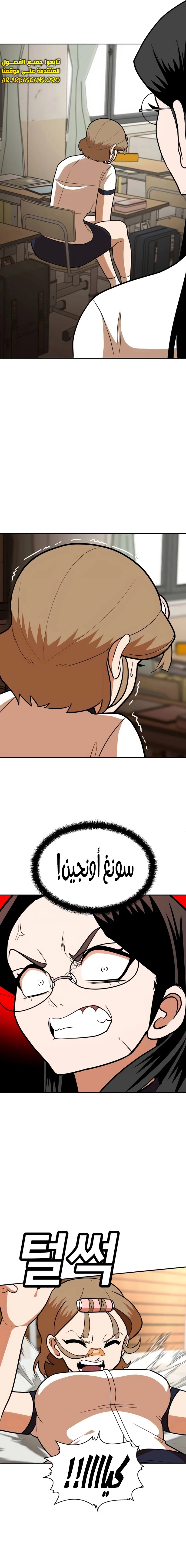 صفحة 17